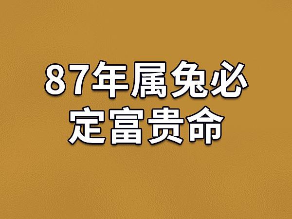 1987年属兔者适宜的工作
