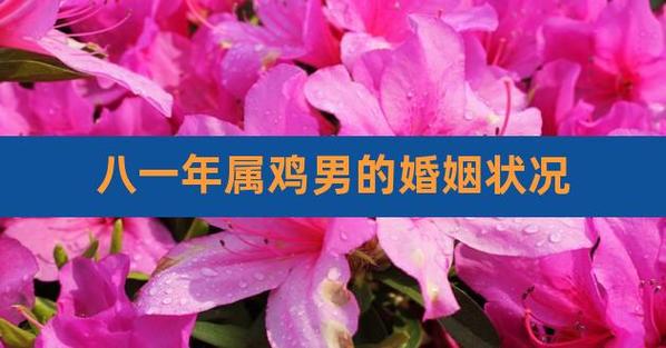81年鸡男的婚配