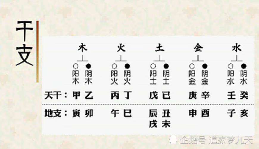1994年五行属木还是火
