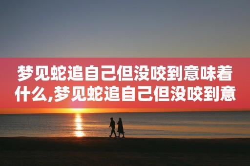 梦见蛇追自己但没咬到