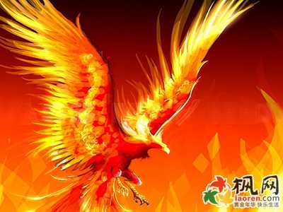 五行缺火养什么动物比较好