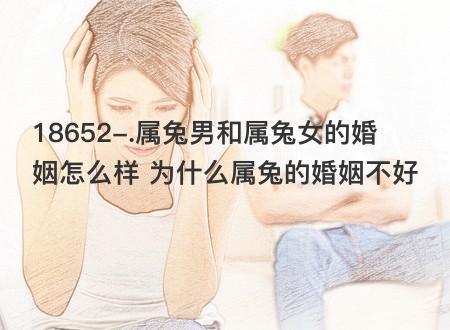 属兔的男生喜欢女生的