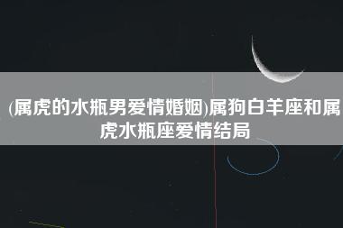 属狗白羊座和属狗水瓶座爱情结局好不好