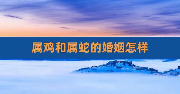 属蛇和属鸡结婚后会是怎样的?
