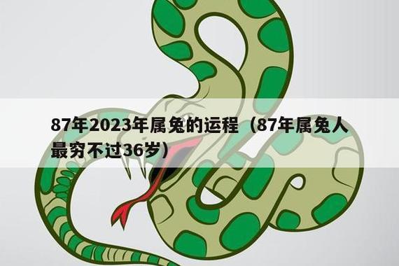 87年属兔40岁后十年运势,87年属兔未来十年运程