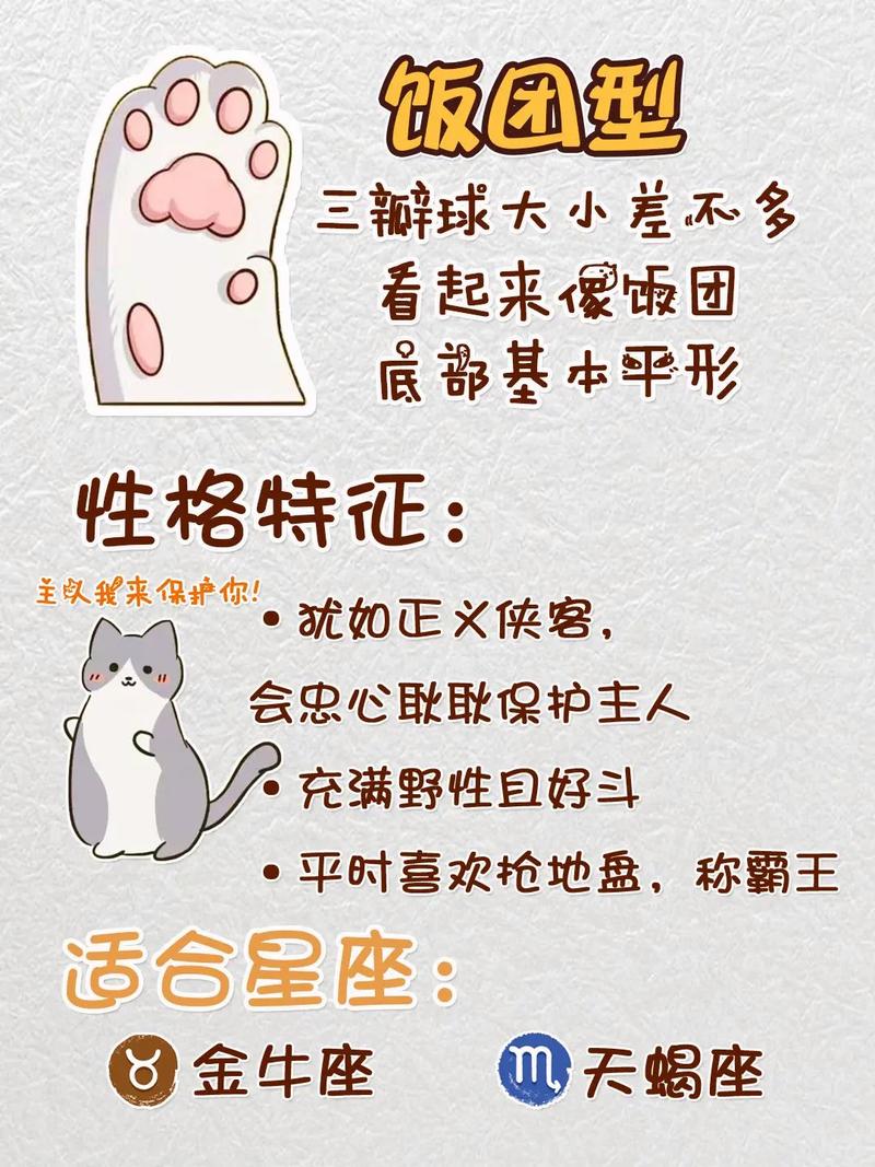 B型女人性格如猫咪