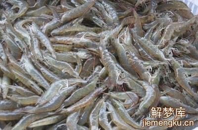 梦见很多活虾