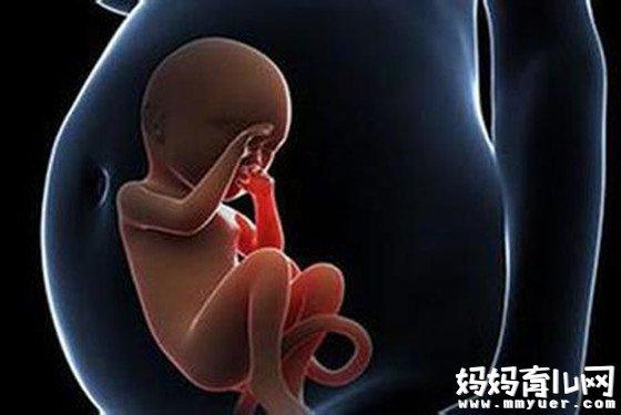 孕妇梦见胎动印出小脚什么意思