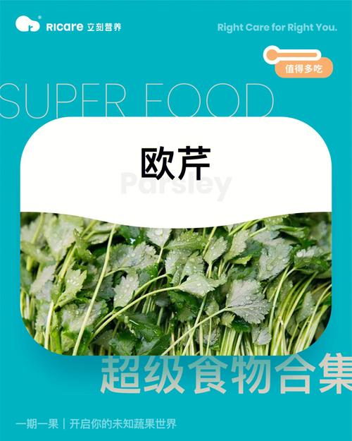 梦见欧芹