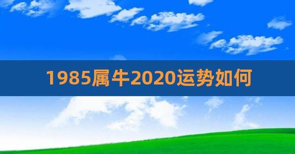 1985属牛的人2023年运势及运程