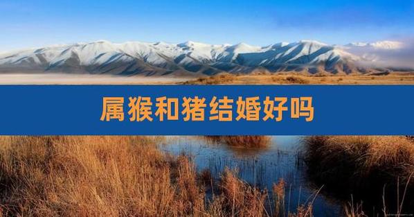 属猴和属猪适合在2021年哪个月结婚?哪几天是结婚吉日?