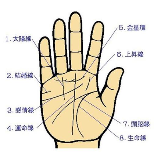 从手相看财运