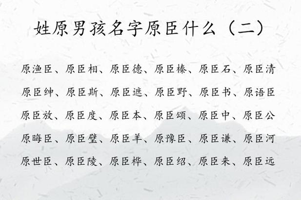臣字辈的男孩名字大全