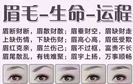 十大富贵眉毛图解