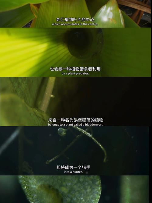 梦见河底