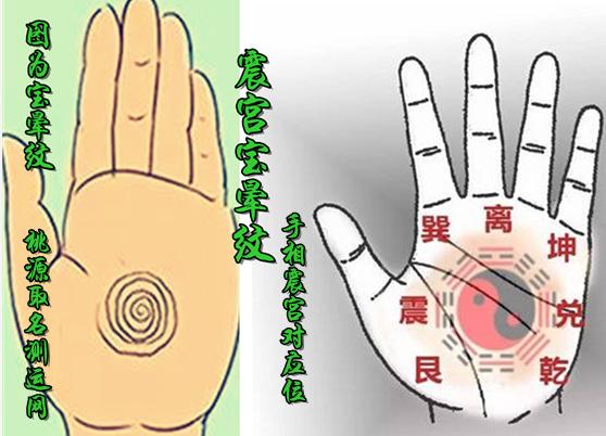 宝晕纹图解 手相有什么影响