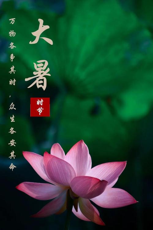 大暑出生的男孩命运好不好?财运如何?