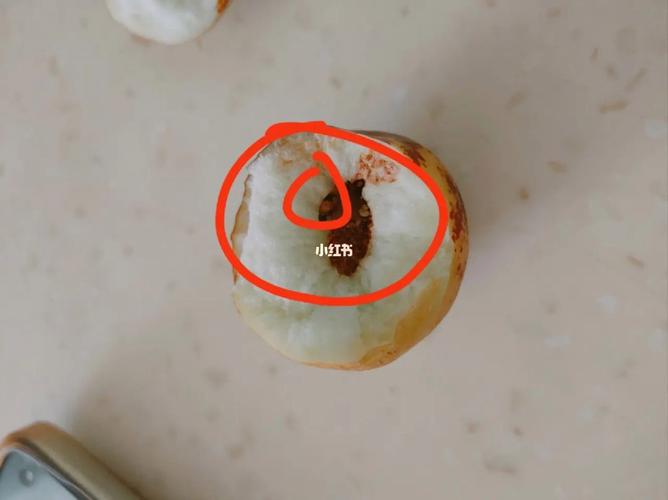 女人梦见吃枣咬开里面有虫子什么意思