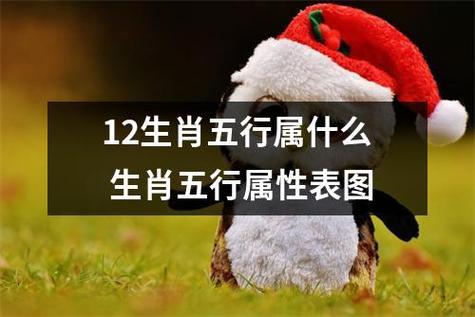 2022年虎五行属金还是水