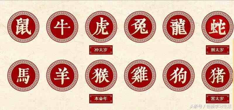 什么叫大属相