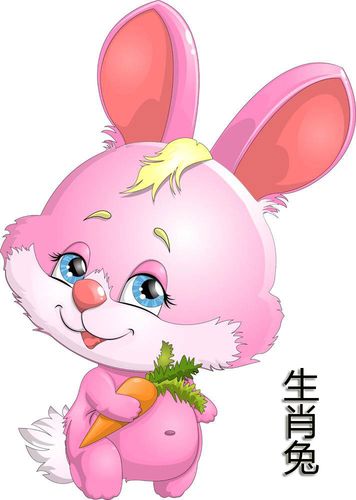 女人属什么生肖最好命:兔,鸡,猪