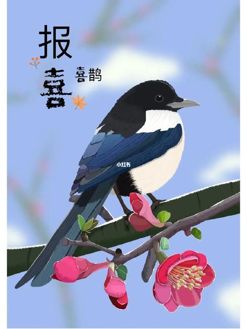 怀上贵子的征兆喜鹊报喜