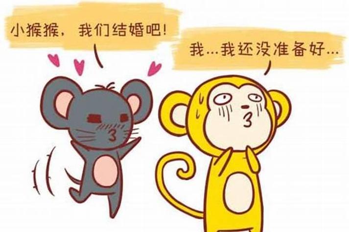 属鼠男生喜欢女生的表现