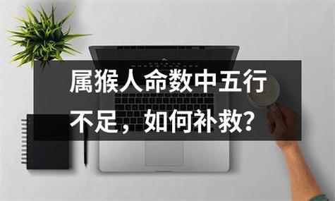 为什么属猴的人命不好