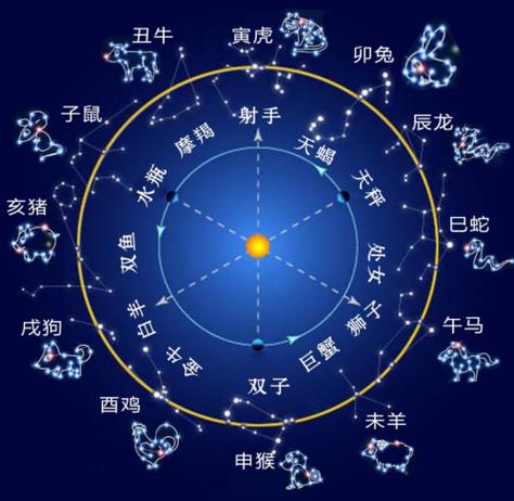 生肖星座运势分析