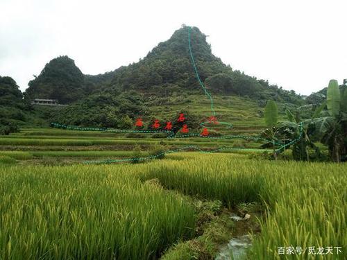 飞凤冲天形风水地