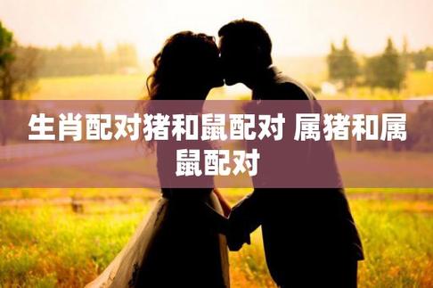属鼠男和属猪女适合做夫妻吗