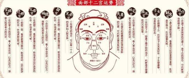 学会这六大秘诀,你就是面相高手!【值得收藏】