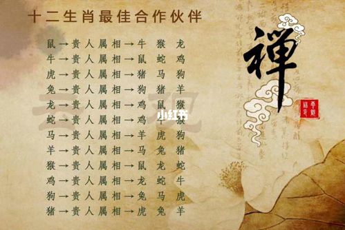 兔和猴做生意合不合财,最佳合作对象是谁