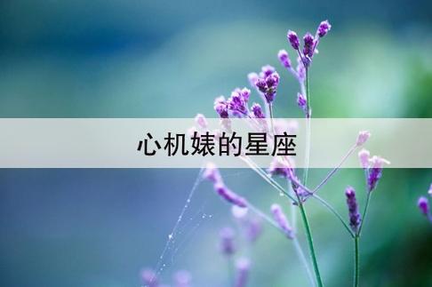 心机婊星座大排行