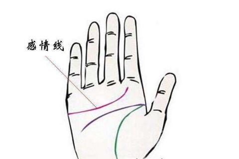 女生手上没有姻缘线,可能存在性冷淡!