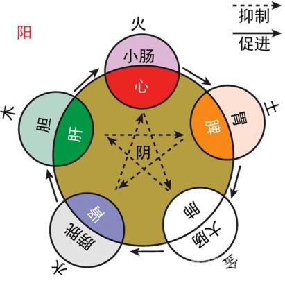 八卦命运:立冬开运养生的位理学分析