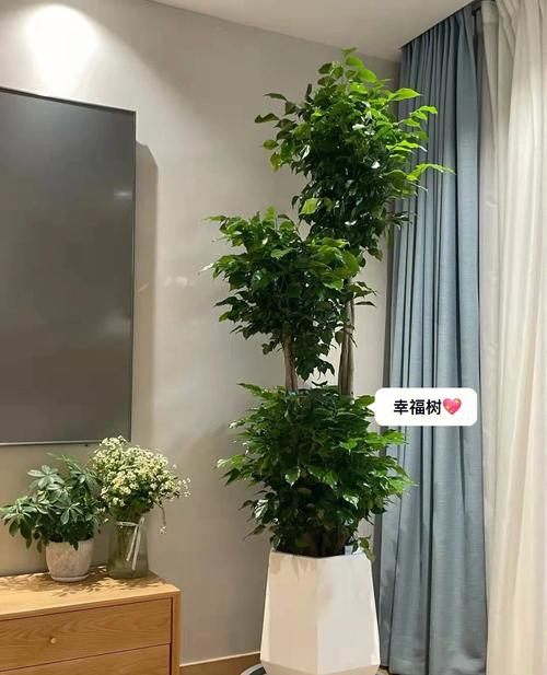 3013年可以帮助我们转运的风水