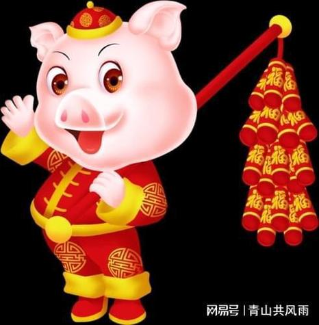 属猪男人2023年学业运好不好