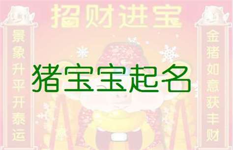 2019年属猪宜用字是什么?属猪如何起个好听的名字?