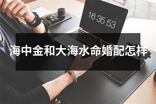 大海水命最佳婚配
