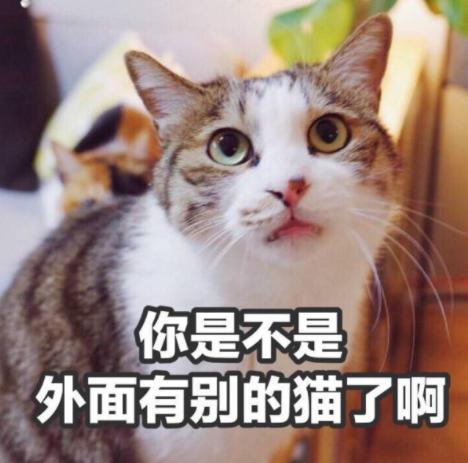 生肖兔男人吃醋的表现