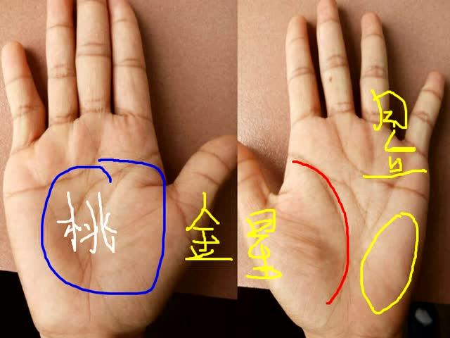 哪些手相的女人异性缘特别好