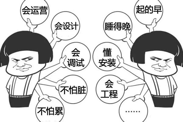 2019年属兔人职场锦囊妙计,一技之长是万金油