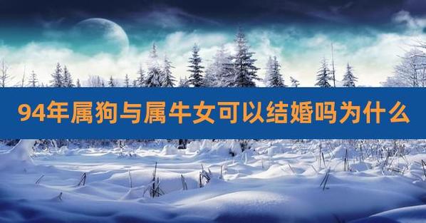 男属狗女属牛结婚结局