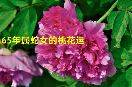 生肖蛇:属蛇女人的桃花爱情