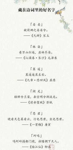 诗词中好听的名字