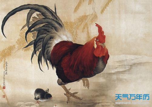 69年52岁属鸡的坎有哪些