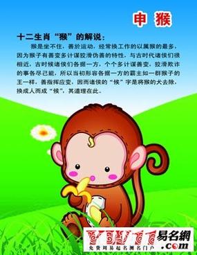 什么经历能够让属猴人越来越优秀