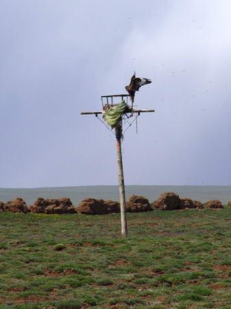 梦见建筑鹰架周公解梦，梦见建筑鹰架是什么意思？