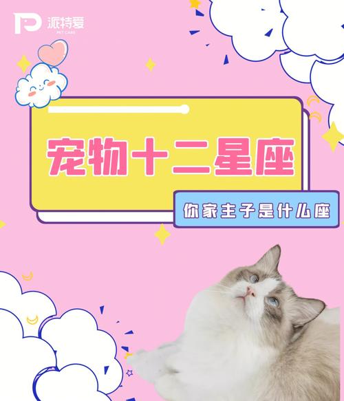 总是很懂得为宠物花钱的星座